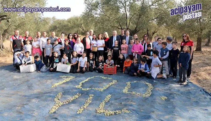 Başkan Arslan öğrencilerle zeytin hasadı
                    yaptı