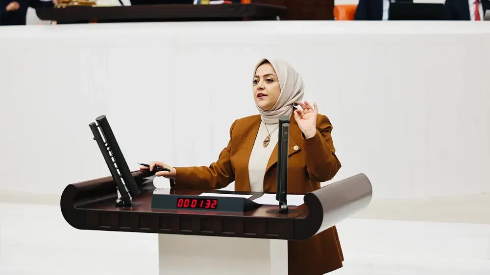 Milletvekili Sema Silkin Ün, 