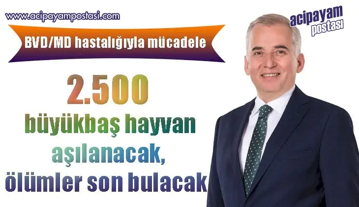 2.500 büyükbaş hayvan aşılanacak,
                    ölümler son bulacak 