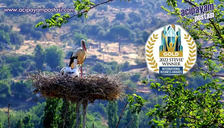 Adm Elektrik, 2022 International
                    Business Awards®