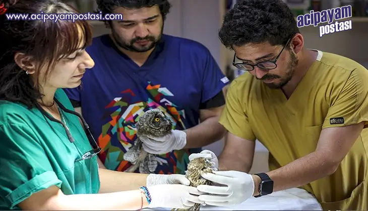 Antalya Doğal Yaşam Parkı 3 özel misafir
                    ağırlıyor