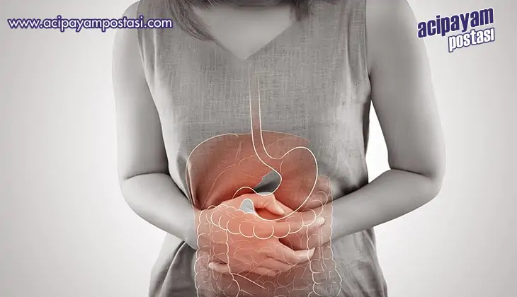 Bağırsak sağlığı vücudun genel sağlığı
                    açısından son derece önemli