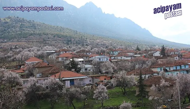 Baklan istikrar dedi