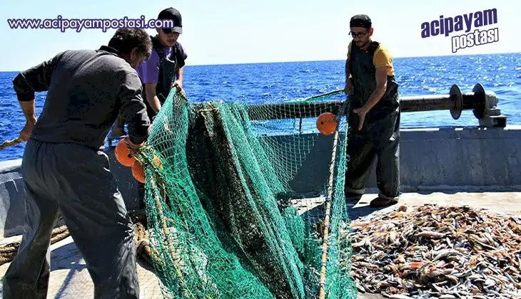 Balık avı yasağı
                    başladı
