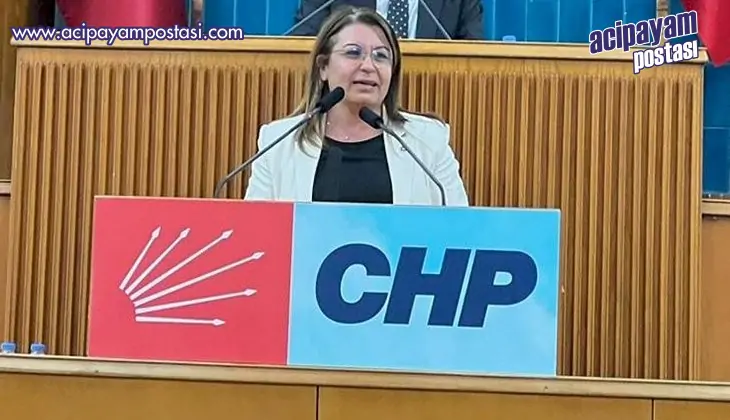 Biçer Karaca, ‘2. Kez MTV alınması
                    anayasa ve hukuka göre mümkün değil’