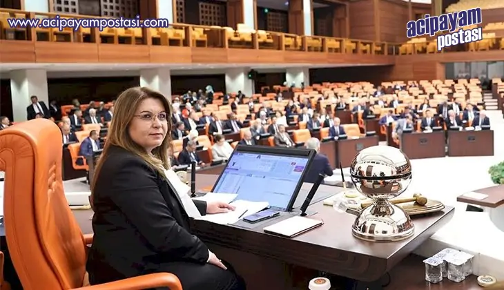 Biçer Karaca, “Millet iradesinin tecelli
                    makamı TBMM’dir’