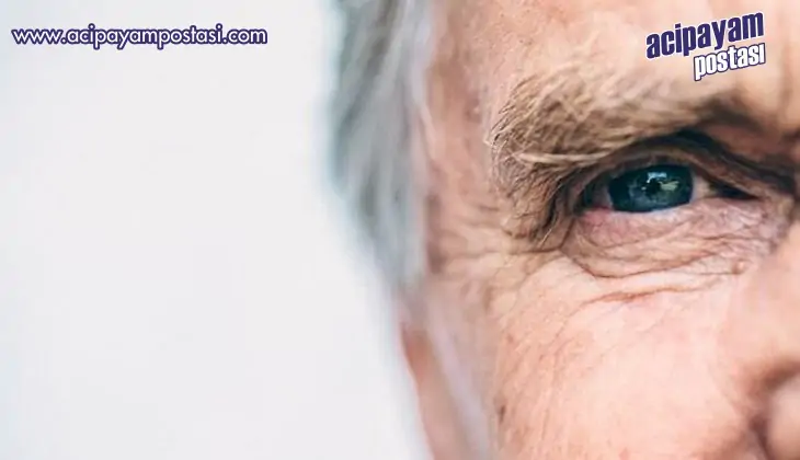 Bilim İnsanları Yaşlanmada Bilişsel
                    Gerilemenin Ardındaki Mekanizmayı Keşfetmiş
                    Olabilir.