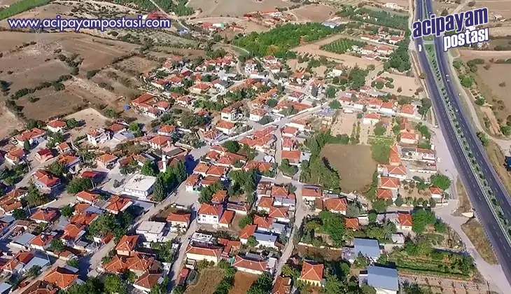 Bozkurt’ta anız yangını