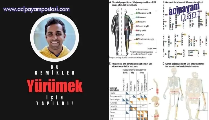 Bu Kemikler
                    Yürümek için Yapıldı!