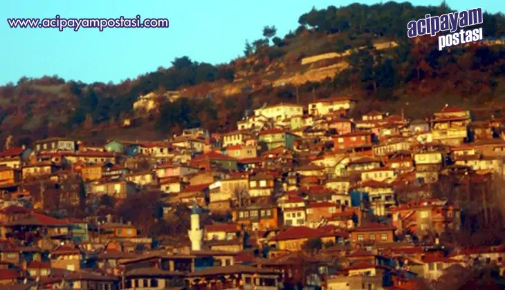 BULDAN CUMHURBAŞKANLIĞI SEÇİMLERİNDE
                    ‘MİLLET’ dedi