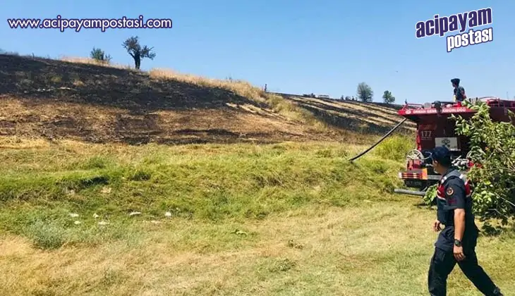 Buldan’daki
                    yangın büyümeden
                    söndürüldü
