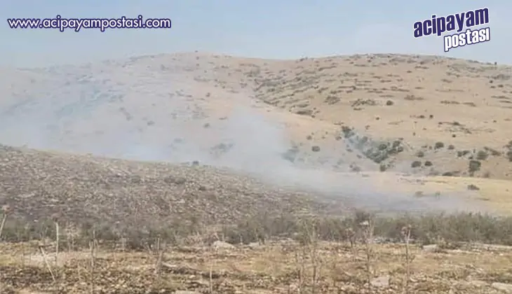 Çal’da makilik
                    alanda yangın çıktı
