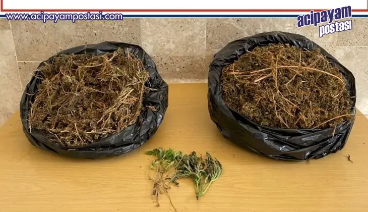 Denizli’de 2 uyuşturucu taciri
                    tutuklandı