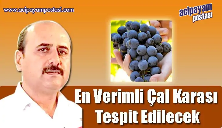 En Verimli
                    Çal Karası Tespit
                    Edilecek