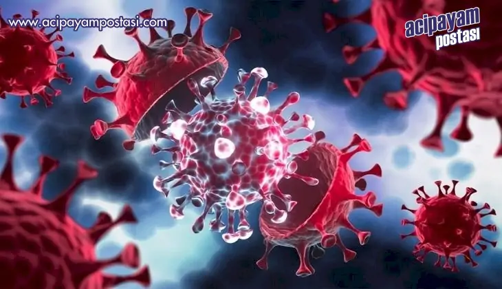 Genetik mutasyon, neden bazılarının
                    Covid-19