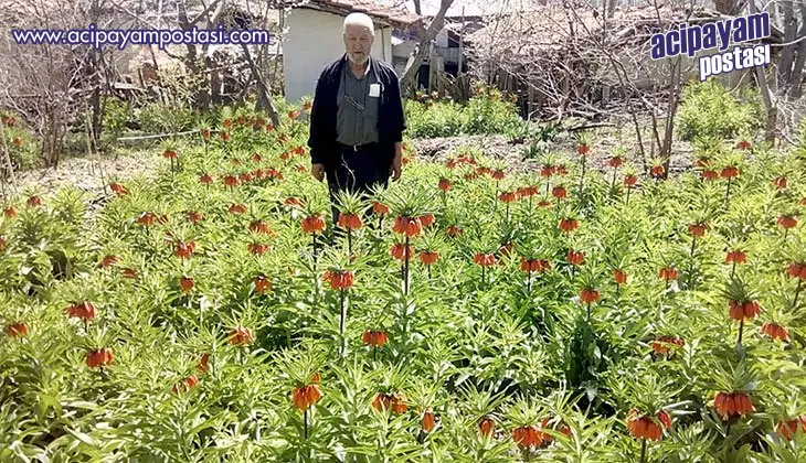 Güzelliği
                    görmek isteyen acele etsin
