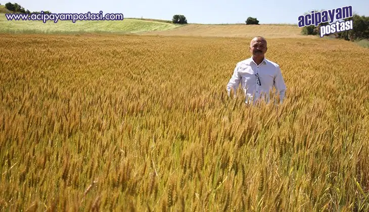 Hatipoğlu, ‘Önlem alınmazsa çiftçi
                    buğday üretiminden vazgeçebilir’