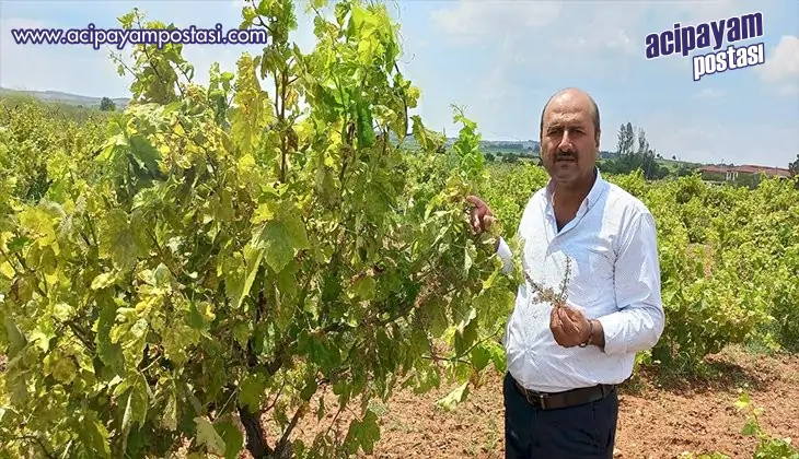 İLÇEMİZ AFET
                    BÖLGESİ İLAN EDİLSİN