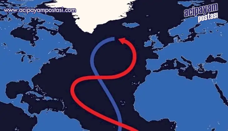 Kasvetli iklim hesaplaması: Bilim
                    adamları, Atlantik okyanusu akıntısının yüzyılın
                    ortalarında çökeceğini tahmin ediyor