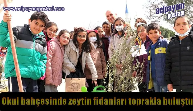 Okul bahçesinde zeytin fidanları
                    toprakla buluştu