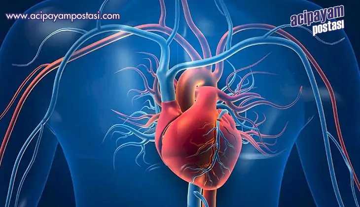 “Sigara içmek
                    ani ölüm getirebilir”