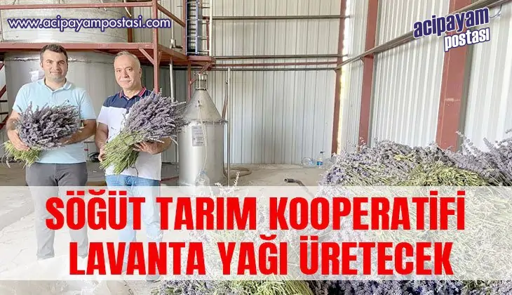 SÖĞÜT TARIM KOOPERATİFİ LAVANTA YAĞI
                    ÜRETECEK