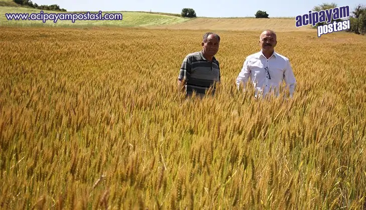 ‘Taner’ ve ‘Selçuklu’ Denizli – Çal
                    topraklarını çok sevdi