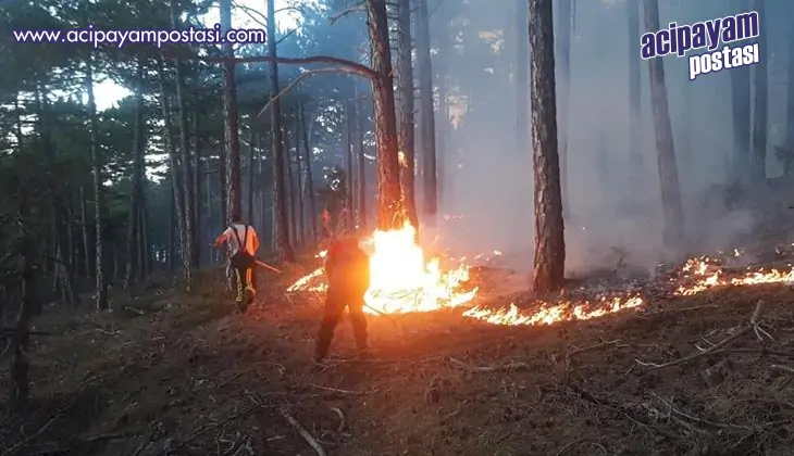 Tavas’ta
                    ormanlık alanda korkutan
                    yangın