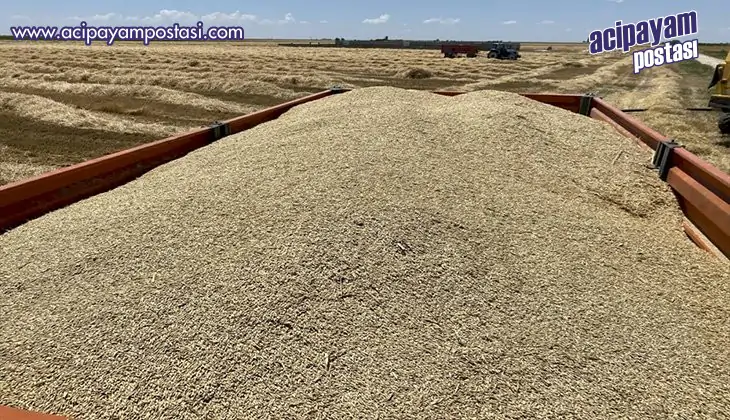 TOPRAK MAHSÜLLERİ OFİSİ 17 TEMMUZ’DA
                    ARPA-BUĞDAY ALIMINA BAŞLIYOR