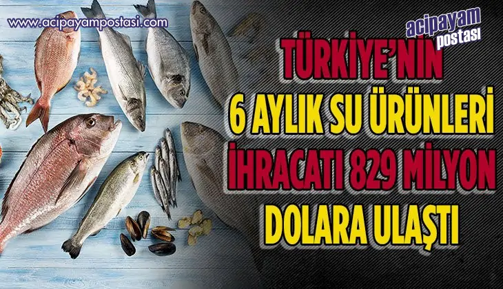 Türkiye’nin 6 aylık su ürünleri ihracatı
                    829 milyon dolara ulaştı