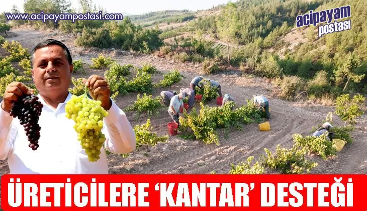 ÜZÜM FİYATLARINI DÜŞÜK BULAN BAŞKAN’DAN
                    ÜRETİCİLERE ‘KANTAR’ DESTEĞİ