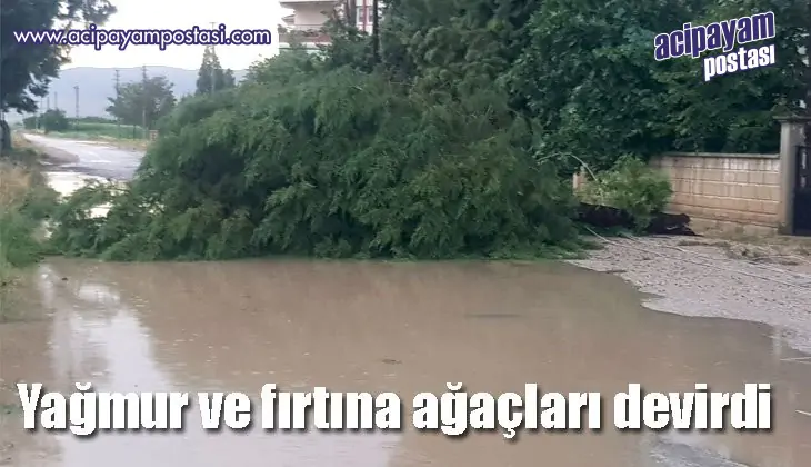 Yağmur ve
                    fırtına ağaçları devirdi