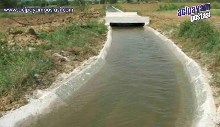 Yaylada sulama havuzuna düşen çocuk
                    yaşamını kaybetti