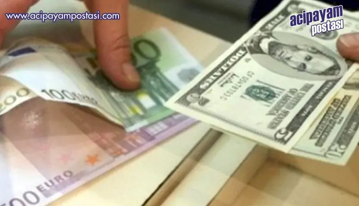 Yıl sonu
                    dolar kuru beklentisi
                    yükseldi